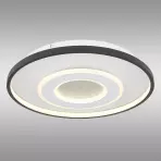 Mennyezeti lámpa Brienna 48552D LED PL1