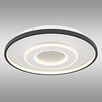 Mennyezeti lámpa Brienna 48552D LED PL1