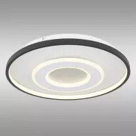 Mennyezeti lámpa Brienna 48552D LED PL1