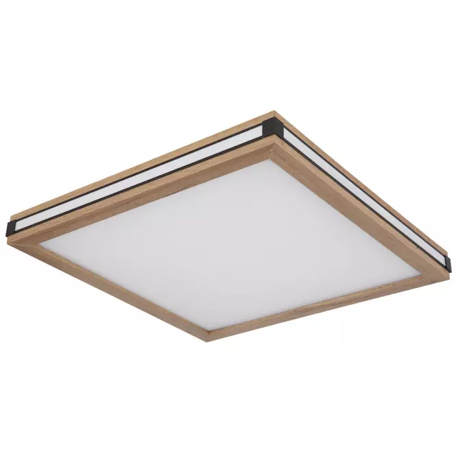 Mennyezeti lámpa 41589D2 LED  PL1