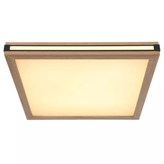 Mennyezeti lámpa 41589D2 LED  PL1