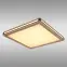 Mennyezeti lámpa 41589D2 LED  PL1