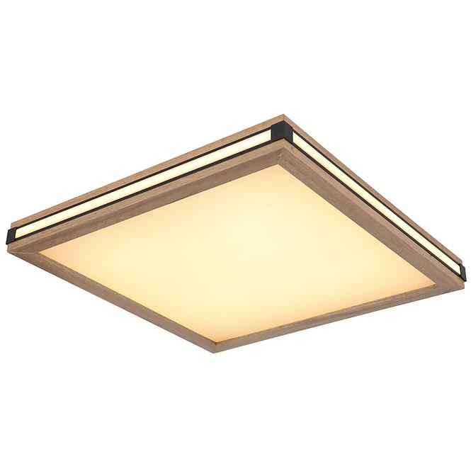 Mennyezeti lámpa 41589D2 LED  PL1