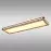Mennyezeti lámpa 41589D4 LED PL1