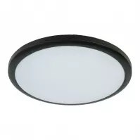 Mennyezeti lámpa LARA 12W 4000K Black VO2921 PL1