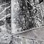 Szőnyeg Frisee Victoria 1,2/1,7 8055 644,6