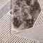 Szőnyeg Frisee Victoria 1,2/1,7 8057 454,5