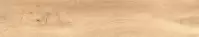 Csempe Gres Aspen Natural MT 22,5/119,5 Rect.