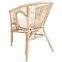 Rattan szék Dion natural,6