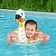 Shimmer n float™ úszógumi 3-6 36306,2