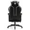 Gamer szék Normal Diablo X-Ray 2.0 fekete/szürke,4