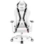 Gamer szék Normal Diablo X-Horn 2.0 fehér/fekete,2