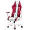 Gamer szék Normal Diablo X-One 2.0 candy/rose,6
