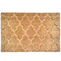 Lábtörlő kókusz Ornament 40x60 cm Asp Em 313