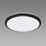 Mennyezeti lámpa Dowbor LED C 12W black NW PL1
