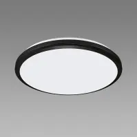 Mennyezeti lámpa Dowbor LED C 12W black NW PL1