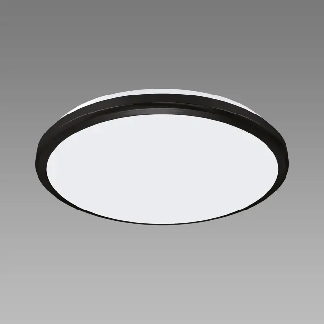 Mennyezeti lámpa Dowbor LED C 12W black NW PL1