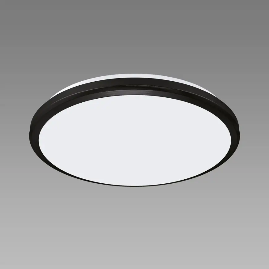 Mennyezeti lámpa Dowbor LED C 12W black NW PL1