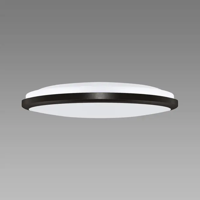 Mennyezeti lámpa Dowbor LED C 12W black NW PL1