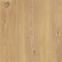Csempe  Nedre Beige 59.5X59.5 / 2.0