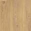 Csempe  Nedre Beige 59.5X59.5 / 2.0,2