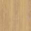 Csempe  Nedre Beige 59.5X59.5 / 2.0,4