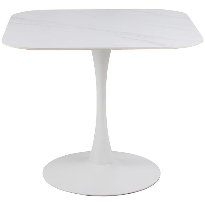 Asztal Ollo White 