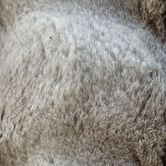 Szőnyeg Fuzzy Bubble 0,8/1,5 70 bézs