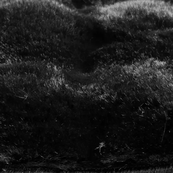 Szőnyeg Fuzzy Bubble 1,6/2,3 90 fekete,8