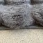 Szőnyeg Fuzzy Bubble 1,6/2,3 995 antracit,7
