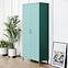 Szekrény Fém Flavio Modern Sea Green,7