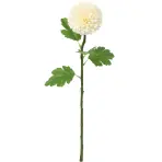 Krizantém pompon 51 cm