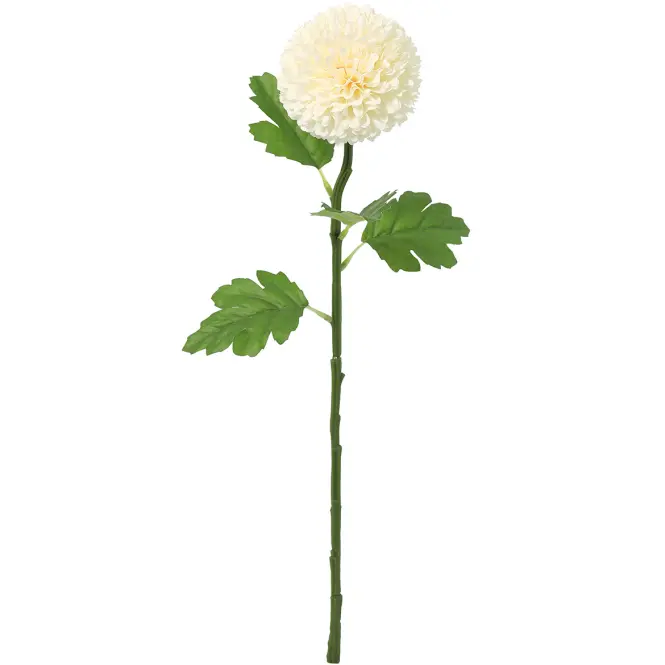 Krizantém pompon 51 cm