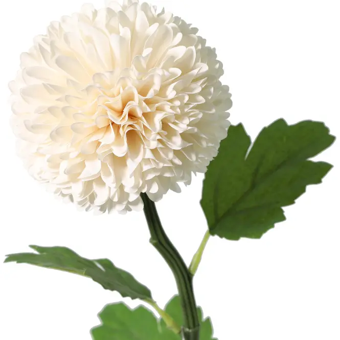 Krizantém pompon 51 cm,2