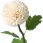 Krizantém pompon 51 cm,2