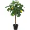 Mű citrusfa 65 cm