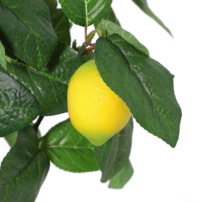 Mű citrusfa 65 cm