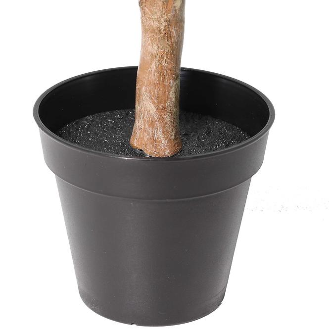Mű citrusfa 65 cm