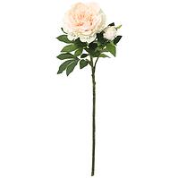 Bazsarózsa ág 112 cm