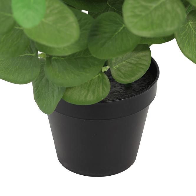 Mű eukaliptusz cserépben 50 cm