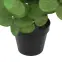 Mű eukaliptusz cserépben 50 cm,3