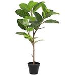 Művirág cserépben fikusz alpesi 92 cm