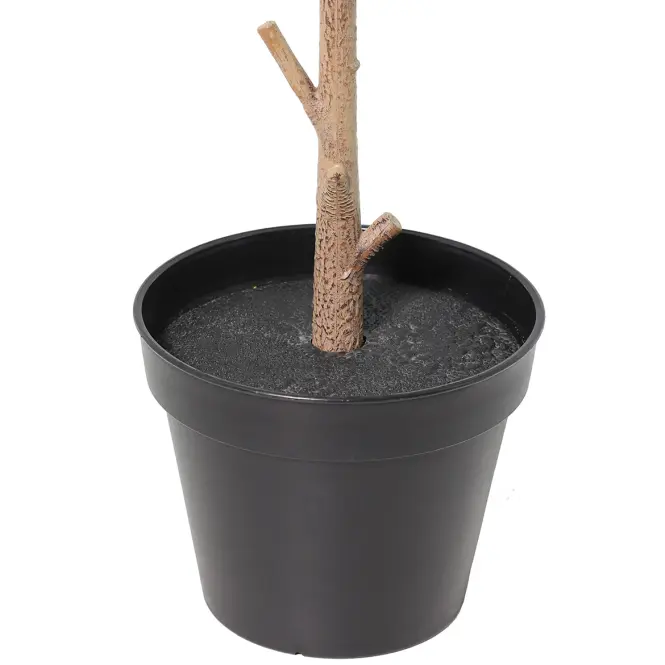 Művirág cserépben fikusz alpesi 92 cm
