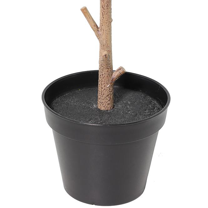 Művirág cserépben fikusz alpesi 92 cm