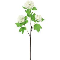 Kalina ág 60 cm
