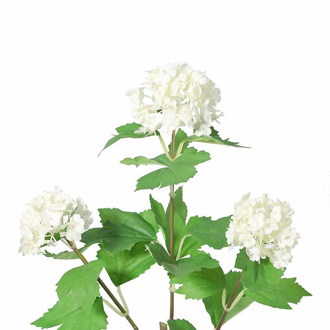 Kalina ág 60 cm