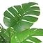 Mű monstera cserépben 83 cm,2