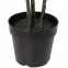 Mű monstera cserépben 83 cm,3