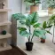 Mű monstera cserépben 83 cm,4