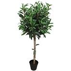 Mű oliva cserépben 85 cm 